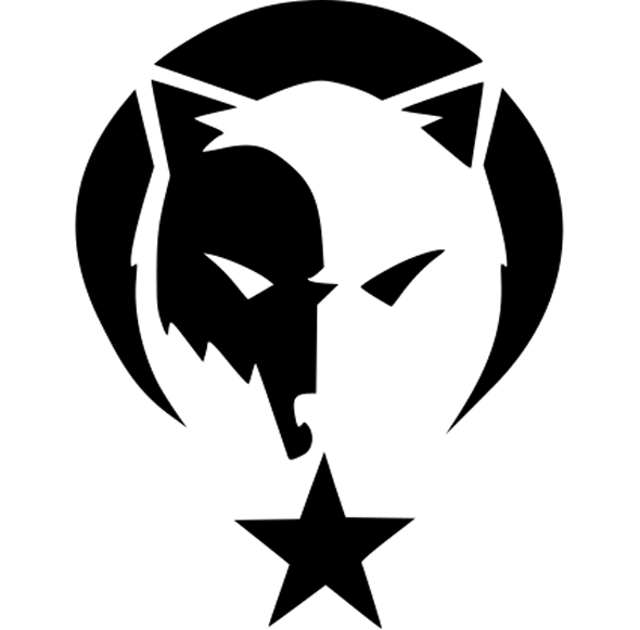 Team Logo